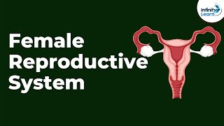 Female Reproductive System  Infinity Learn NEET [upl. by Omor]