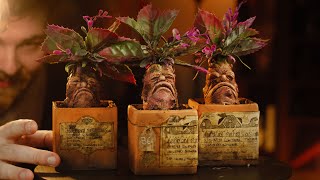 Making Harry Potter inspired Mandrakes  Prop DIY [upl. by Akimehs145]