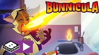 Bunnicula  Fantasiefreunde  Cartoonito [upl. by Nedroj]