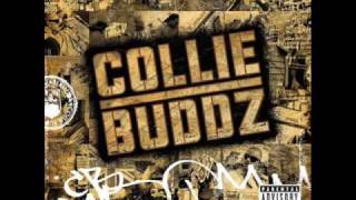 Collie Buddz Come Around Instrumental [upl. by Stranger151]