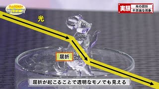 屈折が起こす不思議な現象／Refraction of Light A Mysterious Phenomenon [upl. by Maggie]