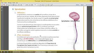 Controle Supra spinal des réflexes médullaires [upl. by Krishnah]