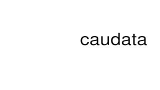 How to pronounce caudata [upl. by Esiouqrut683]