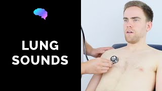 Lung sounds respiratory auscultation sounds  UKMLA  CPSA  PLAB 2 [upl. by Miles]