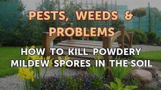 How to Kill Powdery Mildew Spores in the Soil [upl. by Kilbride]