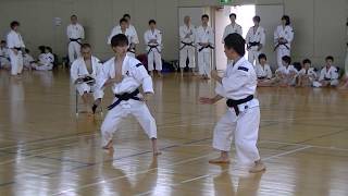 Shorinji Kempo JAPAN Cool fighters [upl. by Erreip]