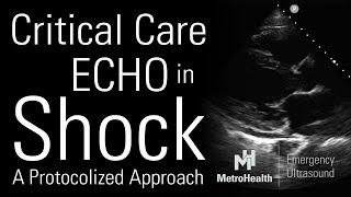 Critical Care Echocardiography in Shock [upl. by Sidnee]