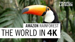 Amazon Rainforest  The World in 4K  Travel  Leisure [upl. by Blackman]