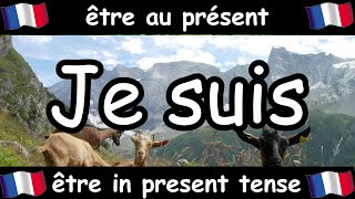 French Conjugation Song  Être  Celtic Music [upl. by Trinatte728]