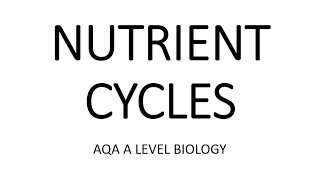 NUTRIENT CYCLES  AQA A LEVEL BIOLOGY  EXAM QUESTIONS RUN THROUGH [upl. by Zapot]