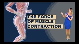 The Force of Muscle Contraction [upl. by Aznola]