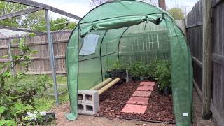 Setting up a Portable Greenhouse [upl. by Ponzo]