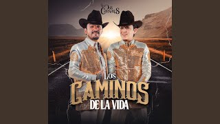 Los Caminos de La Vida [upl. by Leummas9]