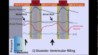 The Cardiac Cycle [upl. by Mccomb382]