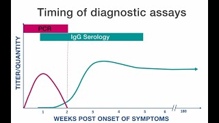 Rickettsial Disease Diagnostic Testing and Interpretation [upl. by Neibaf220]