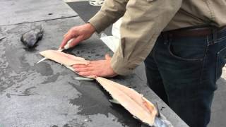 How to Fillet a Fish [upl. by Micheal34]