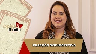 Explica Direito Filiação Socioafetiva  2019 [upl. by Antonie928]