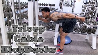 Tricep Cable Kickbacks  Fitness Kensho [upl. by Vijar219]