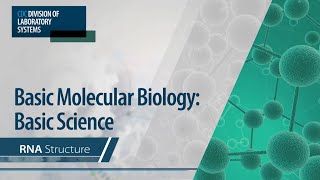 Basic Molecular Biology Basic Science – RNA Structure [upl. by Adena]