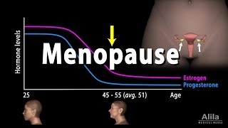 Menopause Perimenopause Symptoms and Management Animation [upl. by Ramgad]