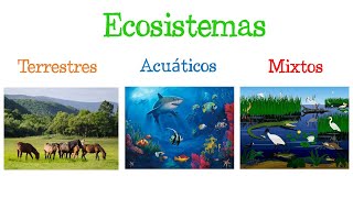 🌎 Los ECOSISTEMAS y sus TIPOS 🐝 Fácil y Rápido  BIOLOGÍA [upl. by Haily]