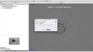 Agisoft Metashape  Gradual Selection tool [upl. by Pryce746]