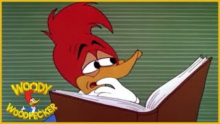 Woody Woodpecker  International Woodpecker  Full Episodes [upl. by Kwang]