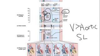 Wiggers Diagram [upl. by Jessey]