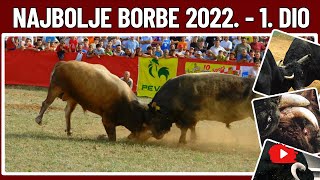 NAJBOLJE BORBE BIKOVA IZ 2022 GODINE  1 DIO [upl. by Thilde455]