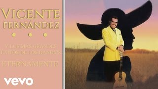 Vicente Fernández  Eternamente Cover Audio [upl. by Aneliram]