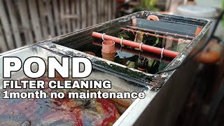 DIY POND FILTER cleaning maintenance [upl. by French]