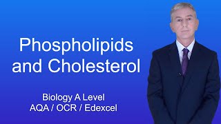 A Level Biology Revision quotPhospholipids and Cholesterolquot [upl. by Olzsal]