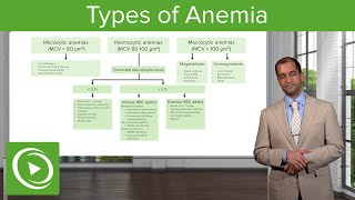 Anemia Microcytic Normocytic amp Macrocytic Type – Hematology  Lecturio [upl. by Swane315]