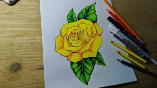 COMO DIBUJAR UNA ROSA CON COLORES ESCOLARES NORMA [upl. by Sandy]