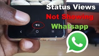 Status Views Not Showing Whatsapp Fix [upl. by Vera]