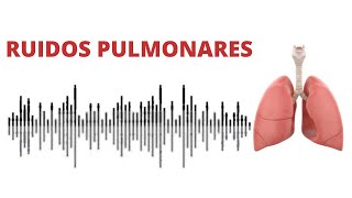 AUSCULTACIÓN PULMONAR ruidos normales y anormales [upl. by Rosemonde354]