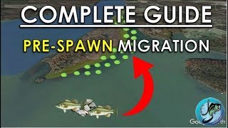 Easy Guide to PreSpawn Bass Fishing  Best Spring Fishing Areas [upl. by Edwine634]