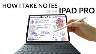 How I Write NEAT  EFFECTIVE Notes on my iPad Pro GoodNotes [upl. by Aldos]