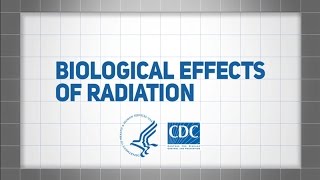 Biological Effects of Radiation [upl. by Amikehs470]