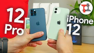 Recensione iPhone 12 e 12 Pro QUALE COMPRARE La mia scelta [upl. by Aramal]