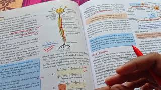 The Nervous system ICSE class 10th biology explained [upl. by Eiralav]