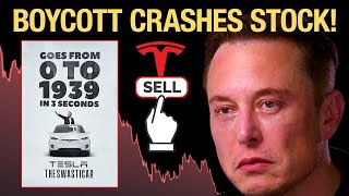 Worldwide Elon Musk Backlash CRASHING Tesla Stock [upl. by Redliw]