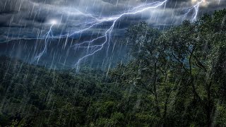 Rain Forest Thunder amp Rain Sleep Sounds  White Noise 10 Hours [upl. by Manouch]