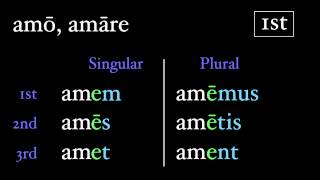 The Present Active Subjunctive [upl. by Notniuq560]