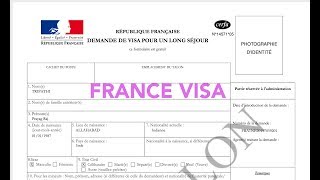 How to fill France Visa application [upl. by Aileahcim]