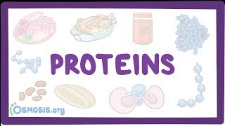 Proteins [upl. by Caines37]