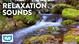 Babbling Brook Relaxation  2 Hours Relaxing Water Sounds [upl. by Grindle]