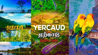 Birds park amp Pet farm at Peeku Park Yercaud  அரியவகை பறவைகள்  ஏற்காடு பார்க்க வேண்டிய இடங்கள் [upl. by Uhn]