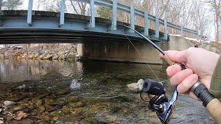 TROUT LOVE THIS BAIT Creek Fishing [upl. by Kerry]