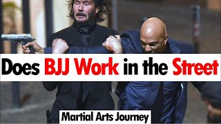 Does BJJ Work in the Street • Martial Arts Journey [upl. by Elad]